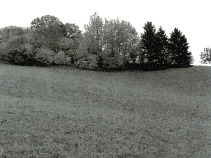 Grasbewachsener Hang mit Baumgruppe im Hintergrund, land- und forstwirtschaftlich genutztes Grundstück in Ammerbuch OT Entringen
