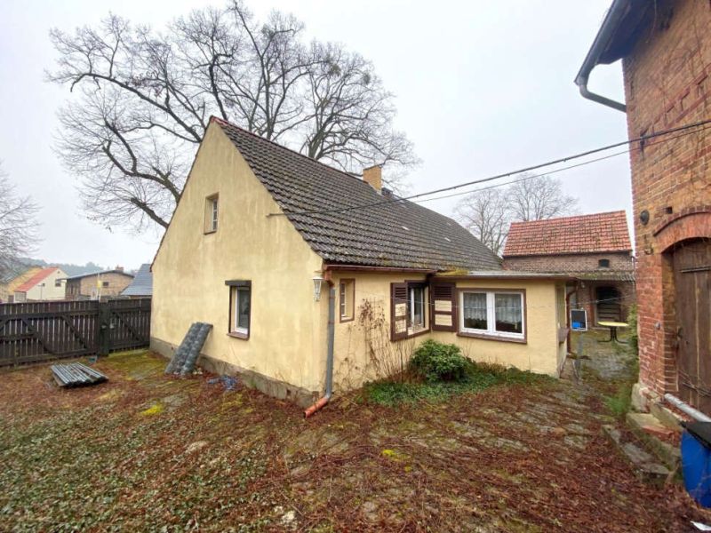 Einfamilienhaus mit gelber Fassade und Schieferdach, umgeben von Laub und Bäumen, im Ortsteil Hohensaaten bei Bad Freienwalde, Grundstück Am Park 4, land- und forstwirtschaftlich