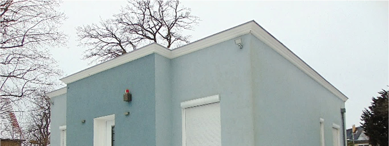 Seitenansicht eines hellblauen Einfamilienhauses mit weißen Fensterrahmen und Dachkante, umgeben von kahlen Bäumen unter bewölktem Himmel