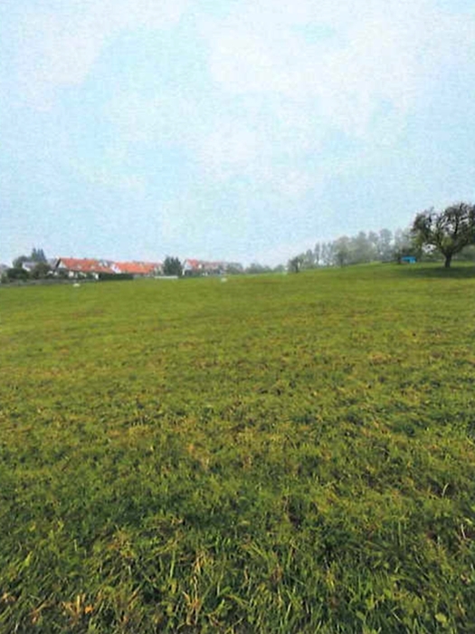 Grünes Ackerland in Althütte, 71566, landwirtschaftlich genutztes Grundstück mit Bäumen und Gebäuden im Hintergrund