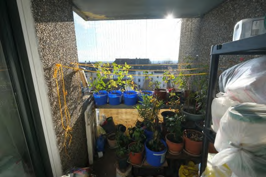 Balkon mit zahlreichen Pflanzen in Töpfen, gelber Absperrleine und Blick auf benachbarte Gebäude in Frankfurt am Main