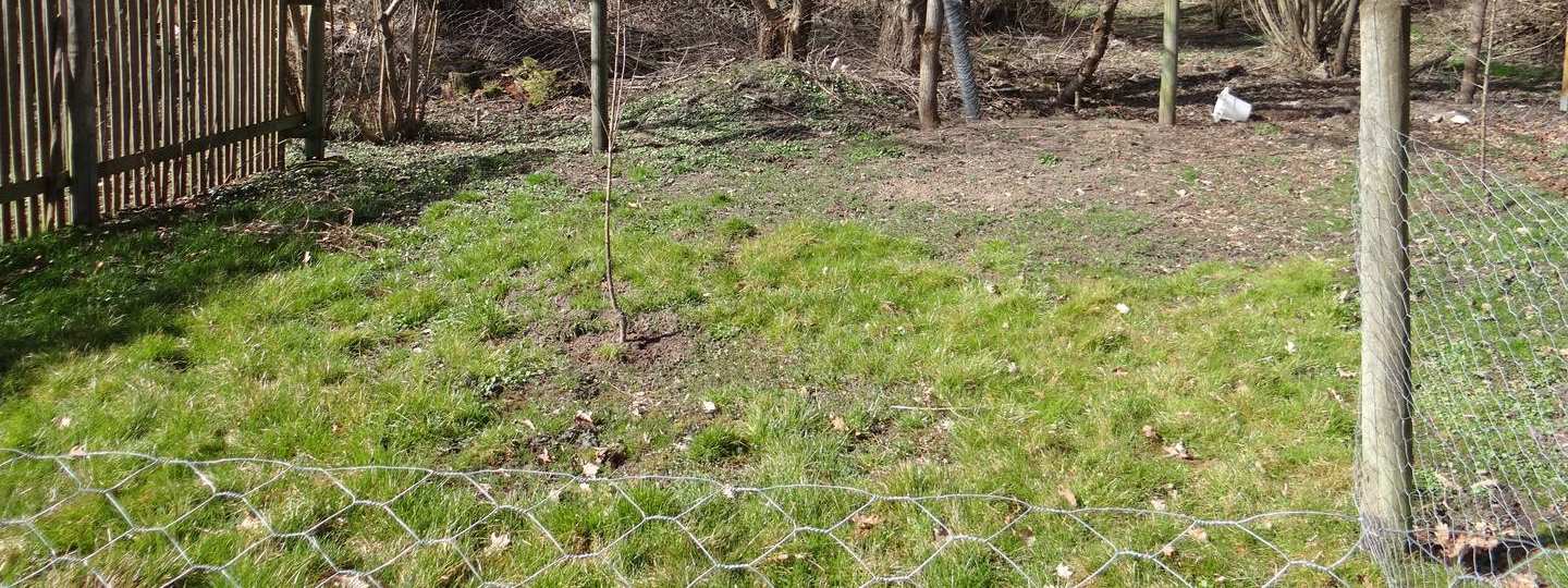 Grüner Bereich mit Gras, Bäumen und Maschendrahtzaun auf einem landwirtschaftlich genutzten Grundstück in Willmars