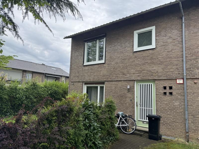 Eingangsbereich eines Reihenhauses mit grüner Tür, Fenstern und angrenzendem Garten. Fahrrad und Mülltonne vor der Tür