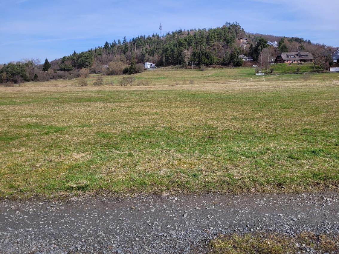 Weites Grünland mit Wiesenfläche und Kiesweg im Vordergrund, bewaldeter Hügel mit Gebäuden im Hintergrund