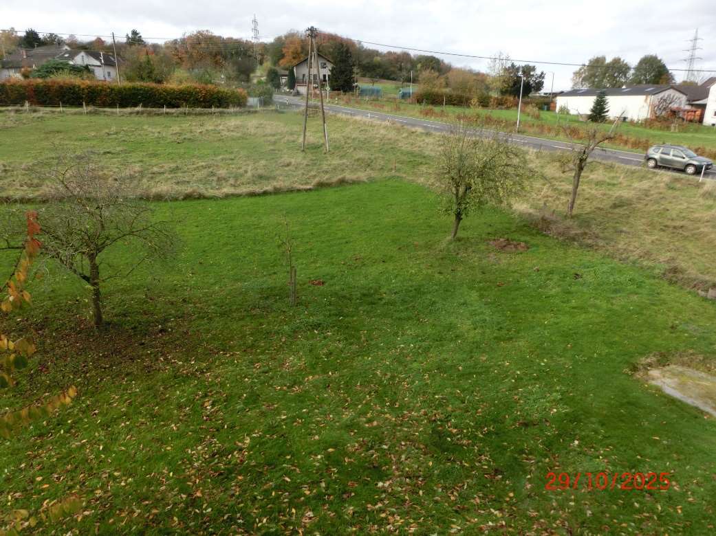 Grüner Gartenbereich mit Bäumen und Laub, im Hintergrund Straße und Wohnhäuser in Hennef