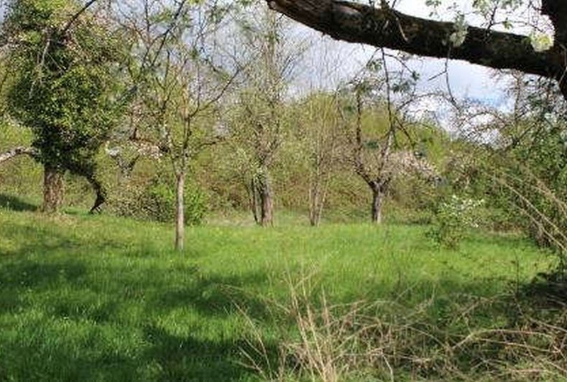 Sonstiges — Immobilie in Plochingen