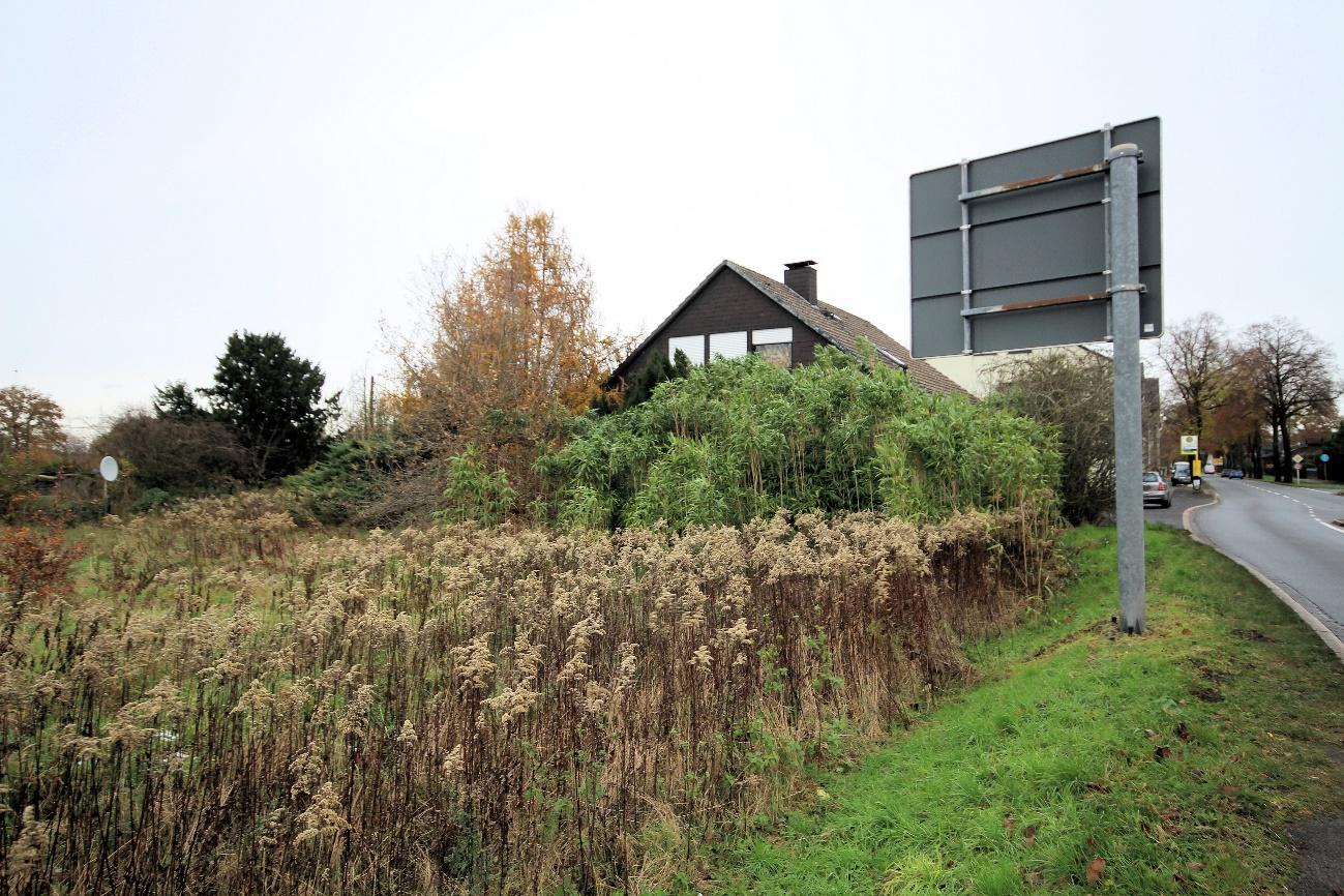 Außenansicht vorne — Einfamilienhaus in Marl, Gebäude und Freifläche Schachtstraße 194