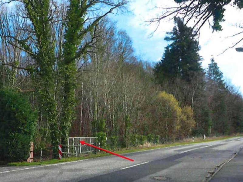 Straßenansicht — Land- und forstwirtschaftlich genutztes Grundstück in Escheburg, 21039