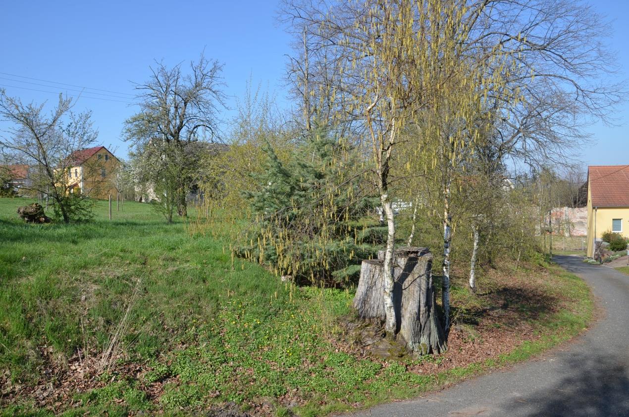 Gartenbereich mit Gras, Bäumen und Baumstümpfen, gepflasterter Weg, im Hintergrund Wohnhäuser in Klipphausen