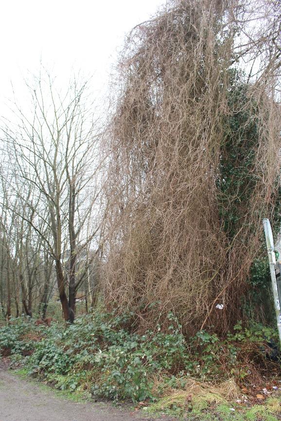 Sonstiges — Land- und forstwirtschaftlich genutztes Grundstück in Gelsenkirchen Verkehrsfläche