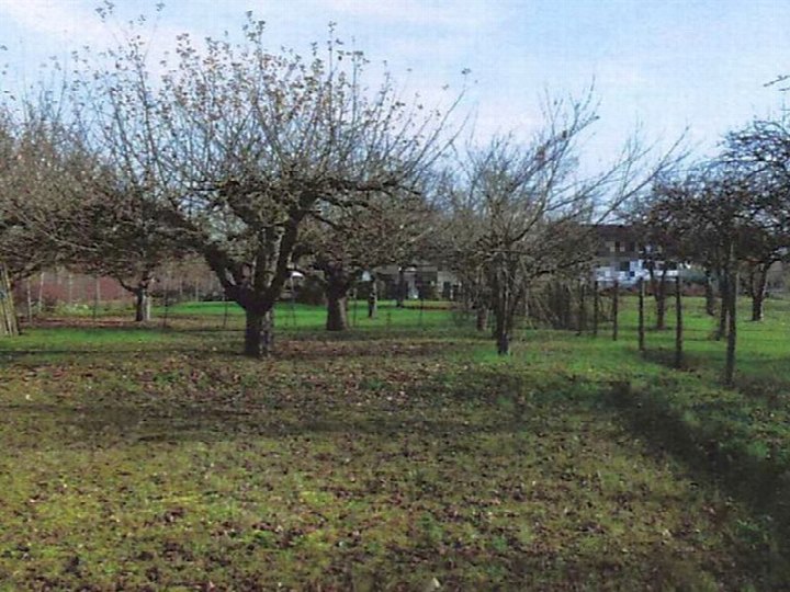 Garten — Unbekannt in Horrheim