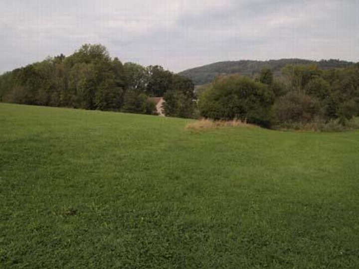 Garten — Grundstück in Uttenreuth -, Kirchenweg 9