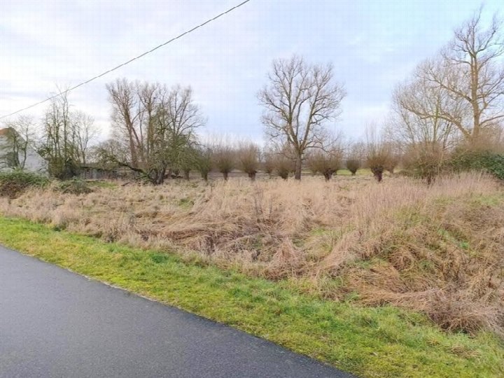 Gartenfläche an der Ringstraße in Neuenkirchen OT Kieshof-Ausbau mit trockenem Gras, Sträuchern und kahlen Bäumen im Winterzustand