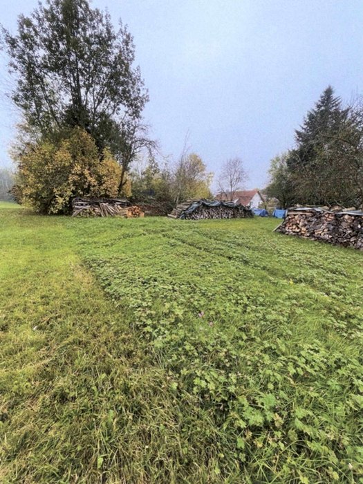 Grundstück in Althütte mit Rasenfläche, gestapeltem Holz und Bäumen im Hintergrund, Ansicht eines Gartens