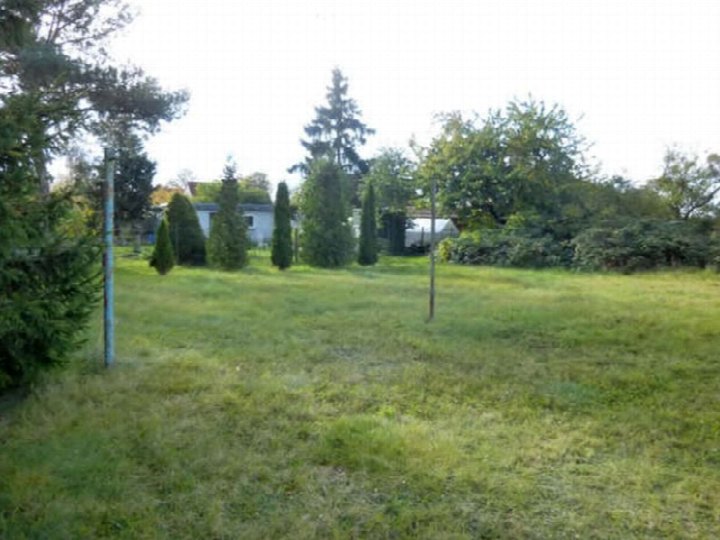 Grüner Gartenbereich mit Rasenfläche, Nadelbäumen und Sträuchern; im Hintergrund Gebäude und Bäume; Baureifes Grundstück in Ketzin/Havel, Lindenweg 16 1