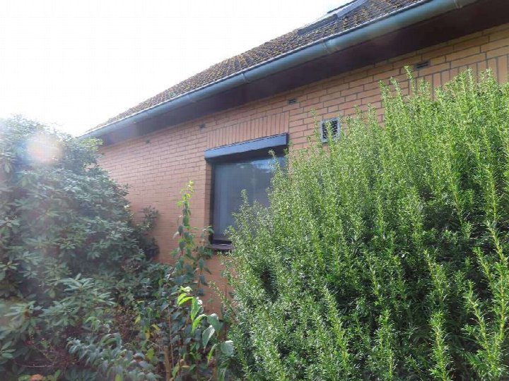 Außenansicht der Seite eines Wohngebäudes in Bienenbüttel, Billungstraße 12, mit Backsteinfassade, Fenster und grüner Hecke im Vordergrund