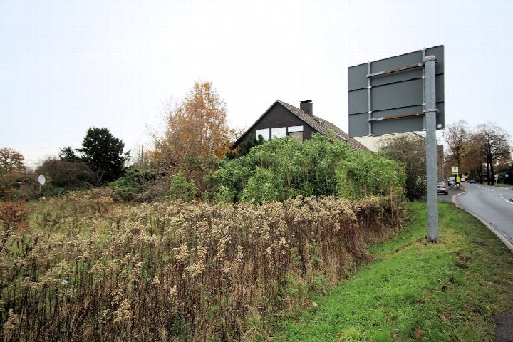 Seitenansicht eines Einfamilienhauses in Marl, teilweise verdeckt durch hohes Gras und Büsche, mit Straße und Verkehrsschild im Vordergrund