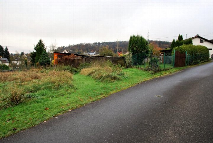 Ungepflegter Gartenbereich mit Gras, Sträuchern und Zaun entlang einer asphaltierten Straße, im Hintergrund Wohnhäuser und bewaldeter Hügel