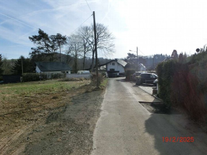 Unbefestigter Gartenbereich neben einem Einfamilienhaus mit Gras, Erde und Hecken, gepflastertem Weg und Nachbarhäusern im Hintergrund