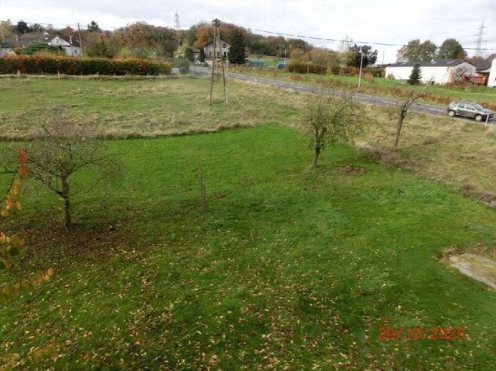 Grüner Gartenbereich mit Bäumen und Laub, im Hintergrund Straße und Wohnhäuser in Hennef